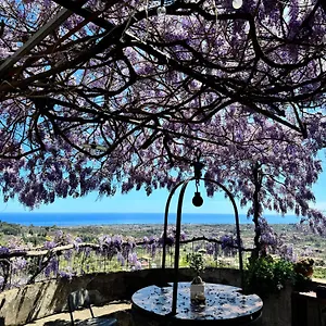Il Noceto Dell'etna Giarre